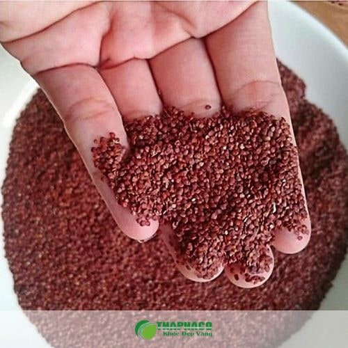 Vì sao da nhạy cảm cần thận trọng khi dùng hạt đình lịch