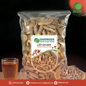 Địa Chỉ Bán Cây An Xoa Sấy Khô Chất Lượng Tại TP.HCM - THAPHACO