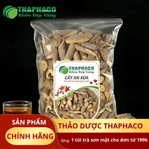An Xoa Sấy Khô TP.HCM: Mua Ở Đâu Uy Tín, Giá Tốt Tại THAPHACO