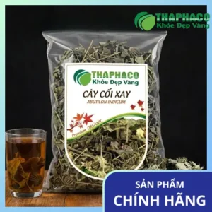 Mua Cây Cối Xay Ở Đâu Uy Tín Tại TP.HCM?