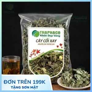 Địa Chỉ Bán Cây Cối Xay Khô TP.HCM Uy Tín, Chất Lượng