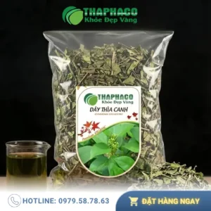 Chỗ Bán Dây Thìa Canh Sấy Khô Giá Rẻ Tại TP.HCM