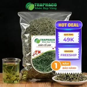 Giá Giảo Cổ Lam Khô 1kg Tại TP.HCM: Cập Nhật THAPHACO