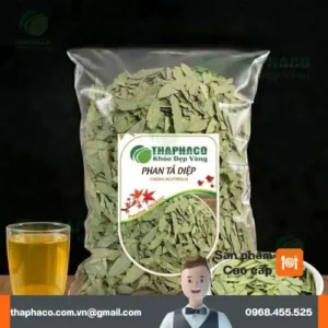 Phan Tả Diệp Sấy Khô Loại 1 (1kg/500g): Giá Sỉ & Mua Hàng