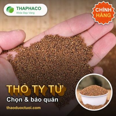 Thỏ ty tử - Cách Chọn Mua Và Bảo Quản Thỏ Ty Tử Chuẩn