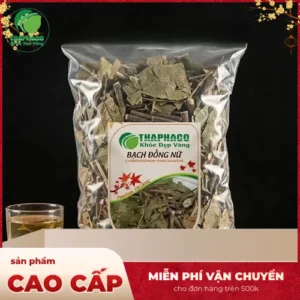 Mua Bạch Đồng Nữ Sấy Khô Giá Tốt Ở TP.HCM